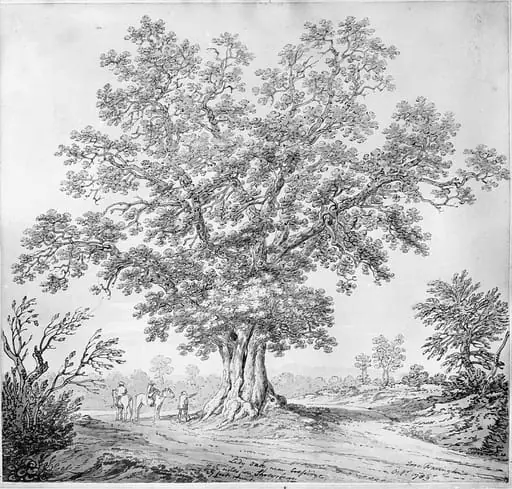 Lady Oak, near Cressidge