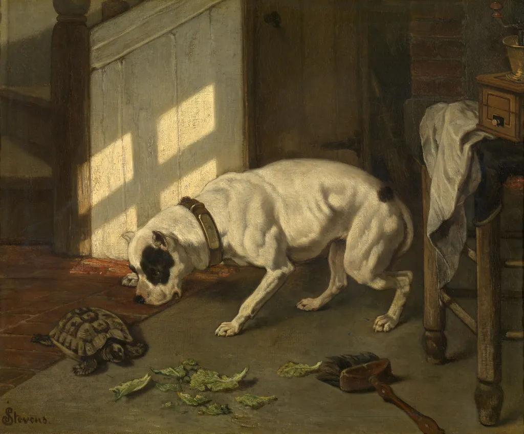 Dog with Tortoise, by Joseph Stevens, oil, 1856