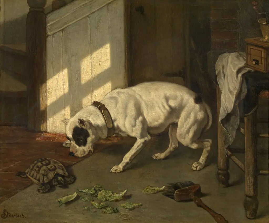 Dog with Tortoise, by Joseph Stevens