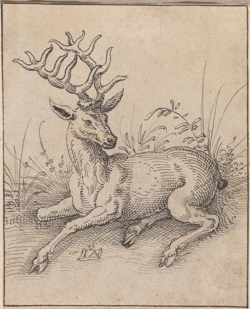 The Stag, by Jost Amman, ink, 1565