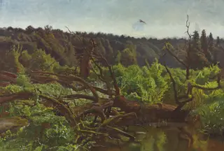 Deep forest – Windthrows, by Józef Chełmoński, 1902