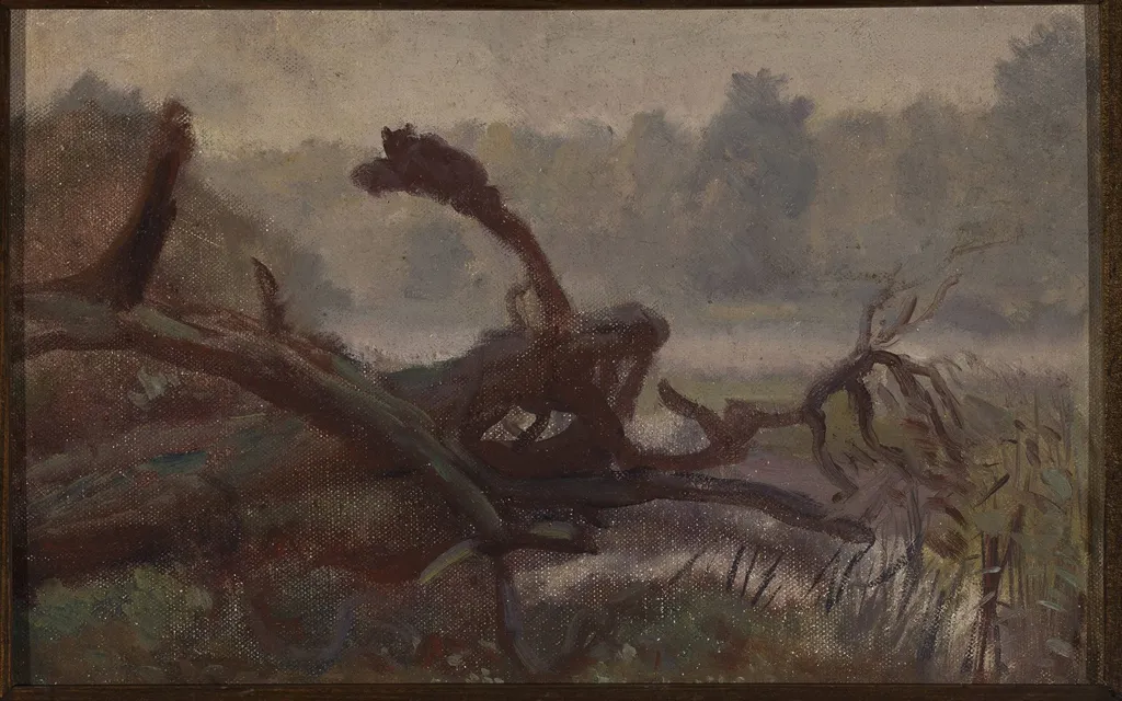 Deep forest – Windthrows, sketch for a painting, by Józef Chełmoński, unspecified, 1902