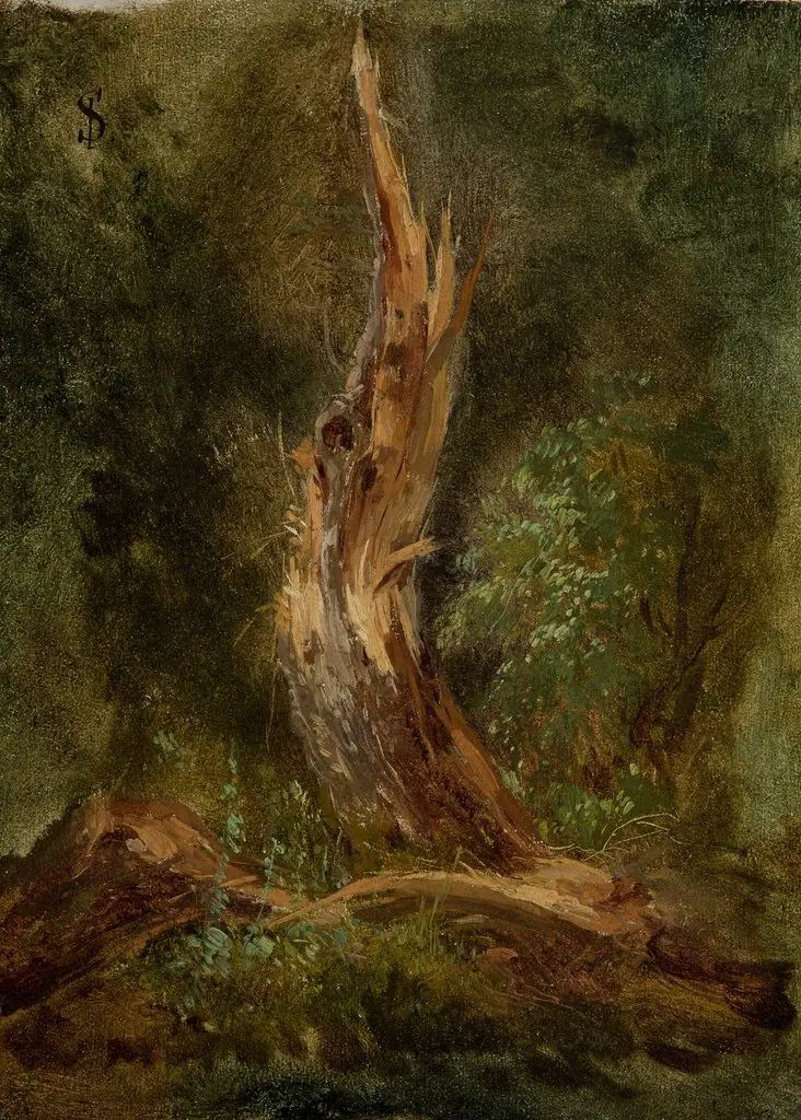 Volhynian Forest, by Józef Szermentowski