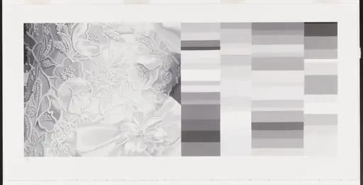 Untitled, by Julia Jacquette