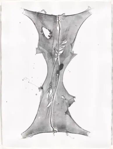 Untitled, by Julia Phillips
