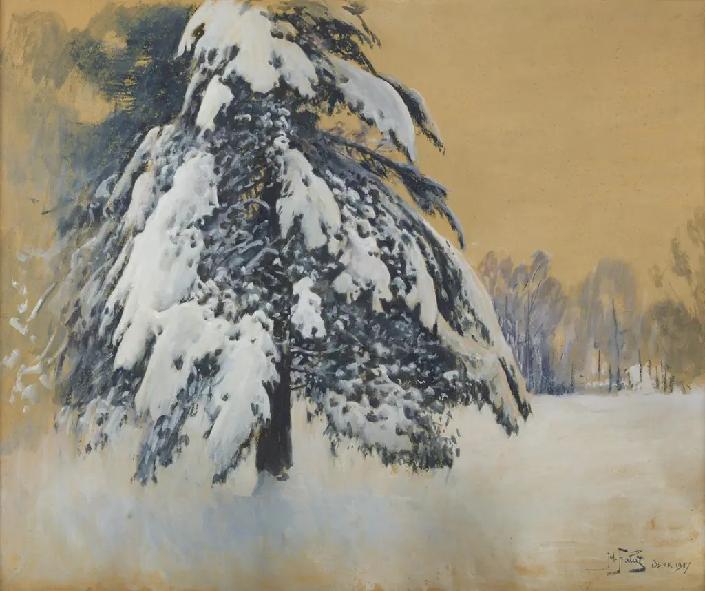 Cap of snow, by Julian Fałat