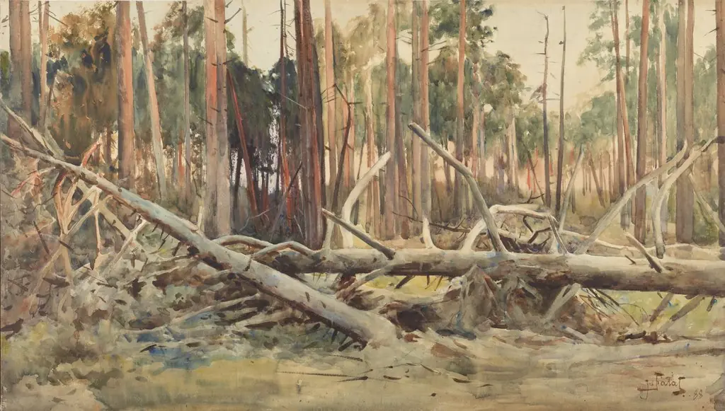 Pine forest, by Julian Fałat