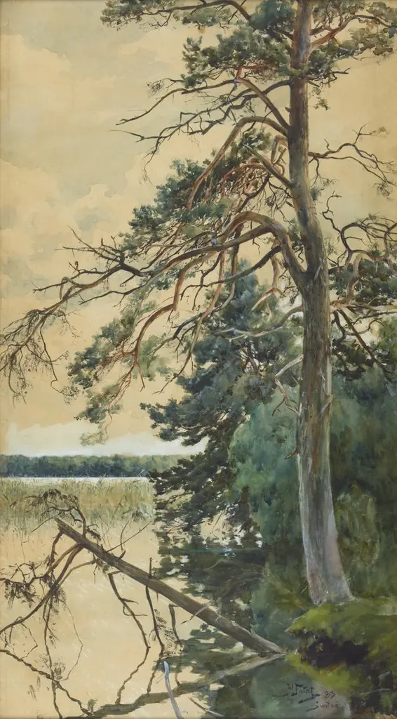 Świteź, by Julian Fałat