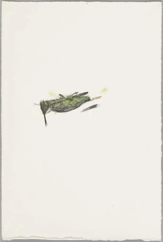 Untitled, by Julian Hoeber, gouache, 2002