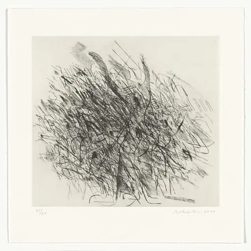 Untitled, by Julie Mehretu
