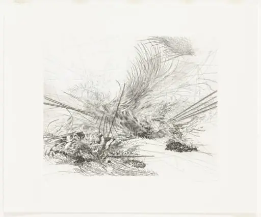 Untitled, by Julie Mehretu
