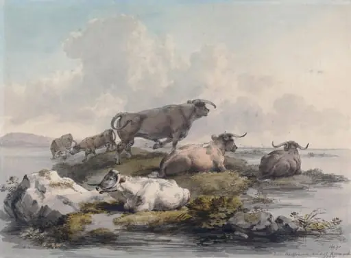 Cattle on rocky ground surrounded by water, by Julius Caesar Ibbetson