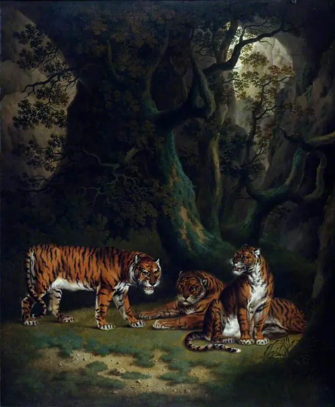 Tigers in a Jungle, by Julius Caesar Ibbetson