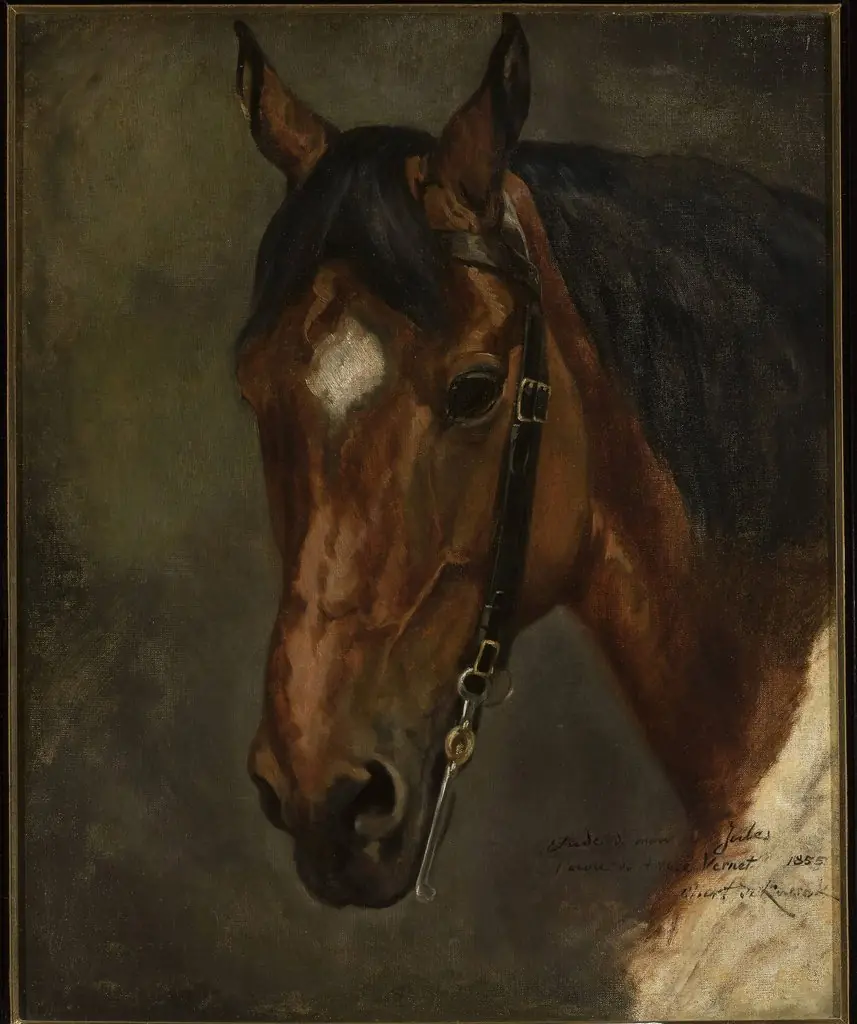 Horse's head, by Juliusz Kossak