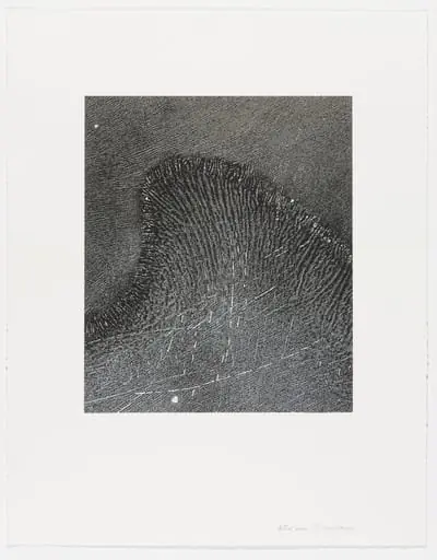 Untitled, by June Wayne