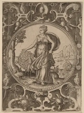 Juno