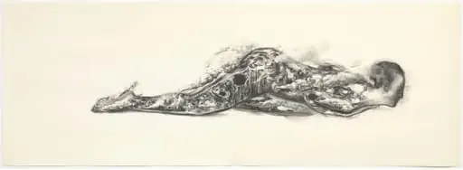 Untitled, by Juul Kraijer