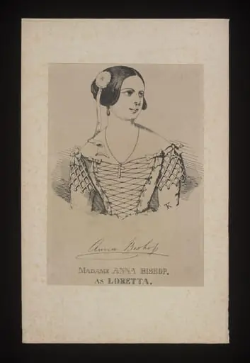H Beard Print Collection, by K