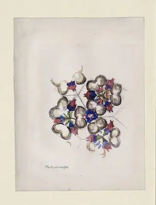 Kaleidoscope