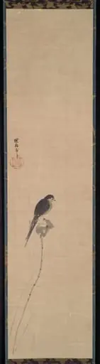 Bird on a Lotus Bud, by Kano Tan'yū