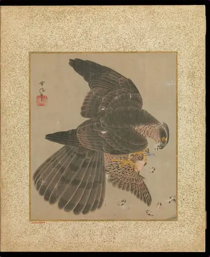 十鷹書画冊|Album of Hawks and Calligraphy, by Kano Tsunenobu