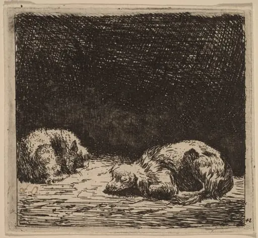 Dog and Cat, by Karel Dujardin