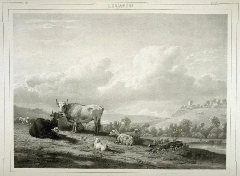 Farm animals at pasture