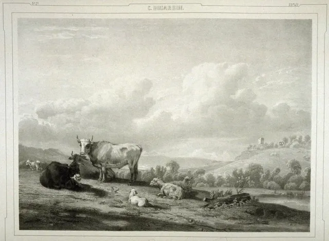 Farm animals at pasture
