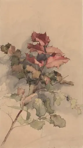 Study of the shrub, by Karel Vitezslav Masek