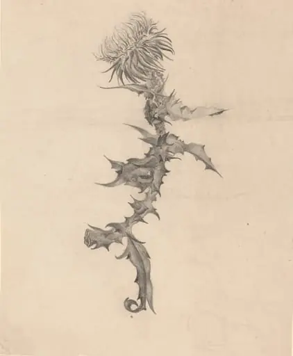 Thistle, by Karel Vitezslav Masek