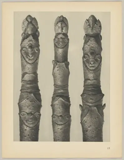 Aesculus parviflora, by Karl Blossfeldt