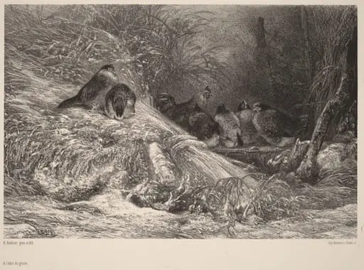 A l'abri du givre, by Karl Bodmer