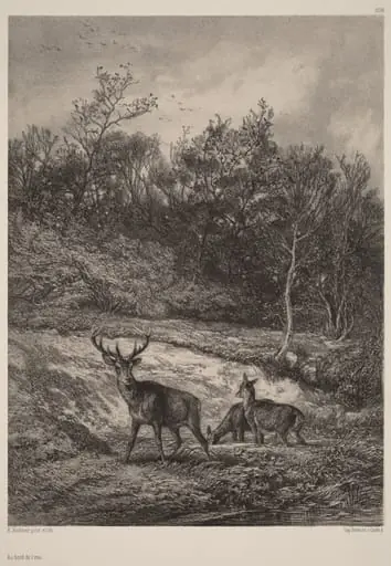 Au bord de l'eau, by Karl Bodmer