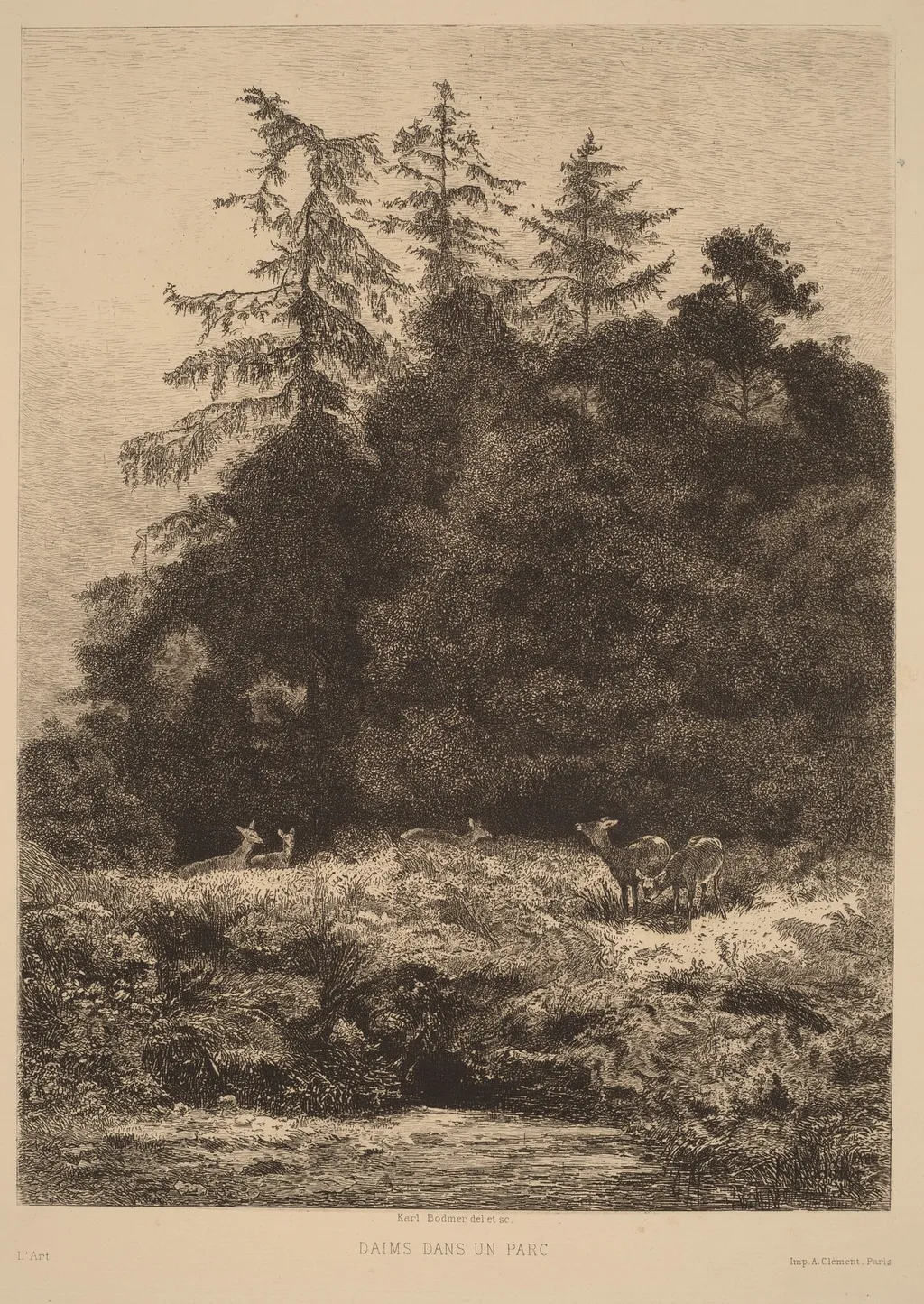 Daims dans un Parc, by Karl Bodmer, ink, 1851