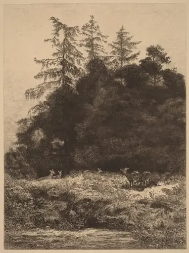 Daims dans un Parc, by Karl Bodmer