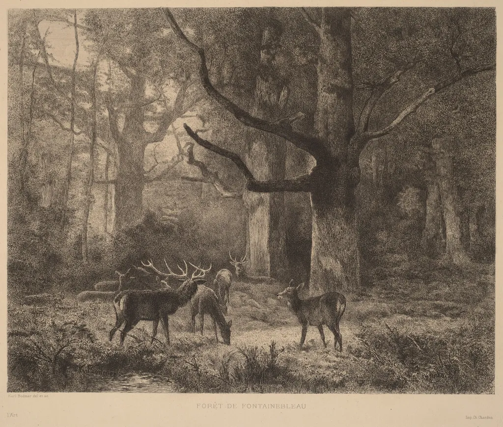 Forêt de Fontainebleau, by Karl Bodmer, ink, 1851