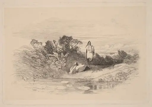 Herons, by Karl Bodmer