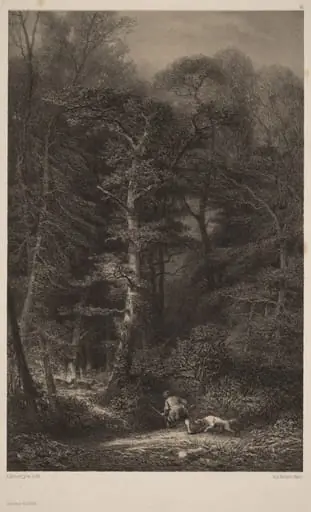 Intérieur de Forêt, by Karl Bodmer
