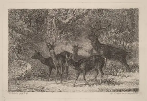 Le harde, by Karl Bodmer
