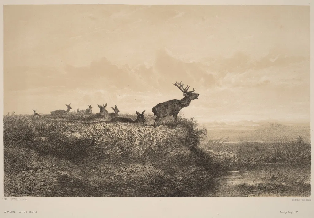 Le Matin, by Karl Bodmer, ink, 1851