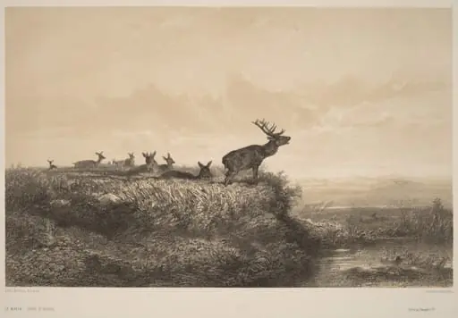 Le Matin, by Karl Bodmer