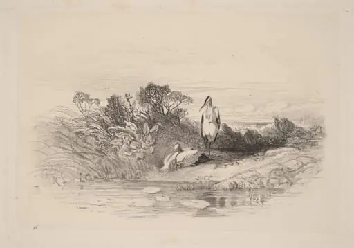 Les Deux Herons, by Karl Bodmer