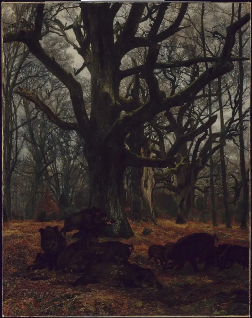 Oaks and Wild Boars, by Karl Bodmer