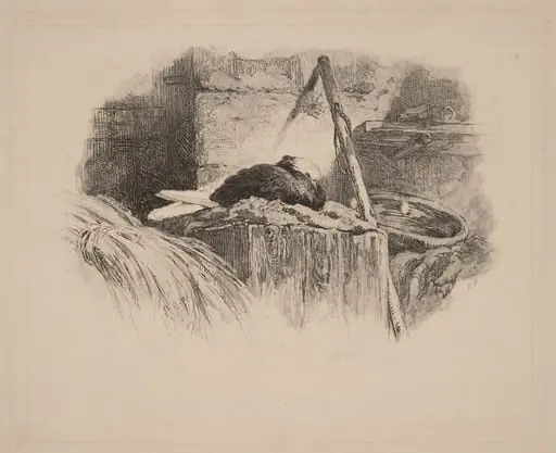 Pigeon sur un nid, by Karl Bodmer