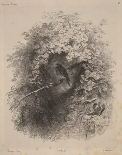Un Abri (A Shelter), by Karl Bodmer