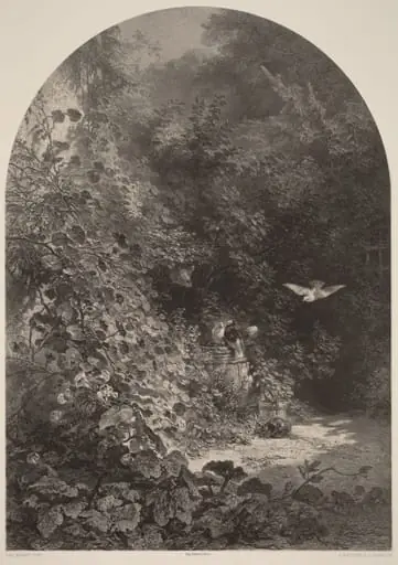 Un Coin de Jardin, by Karl Bodmer