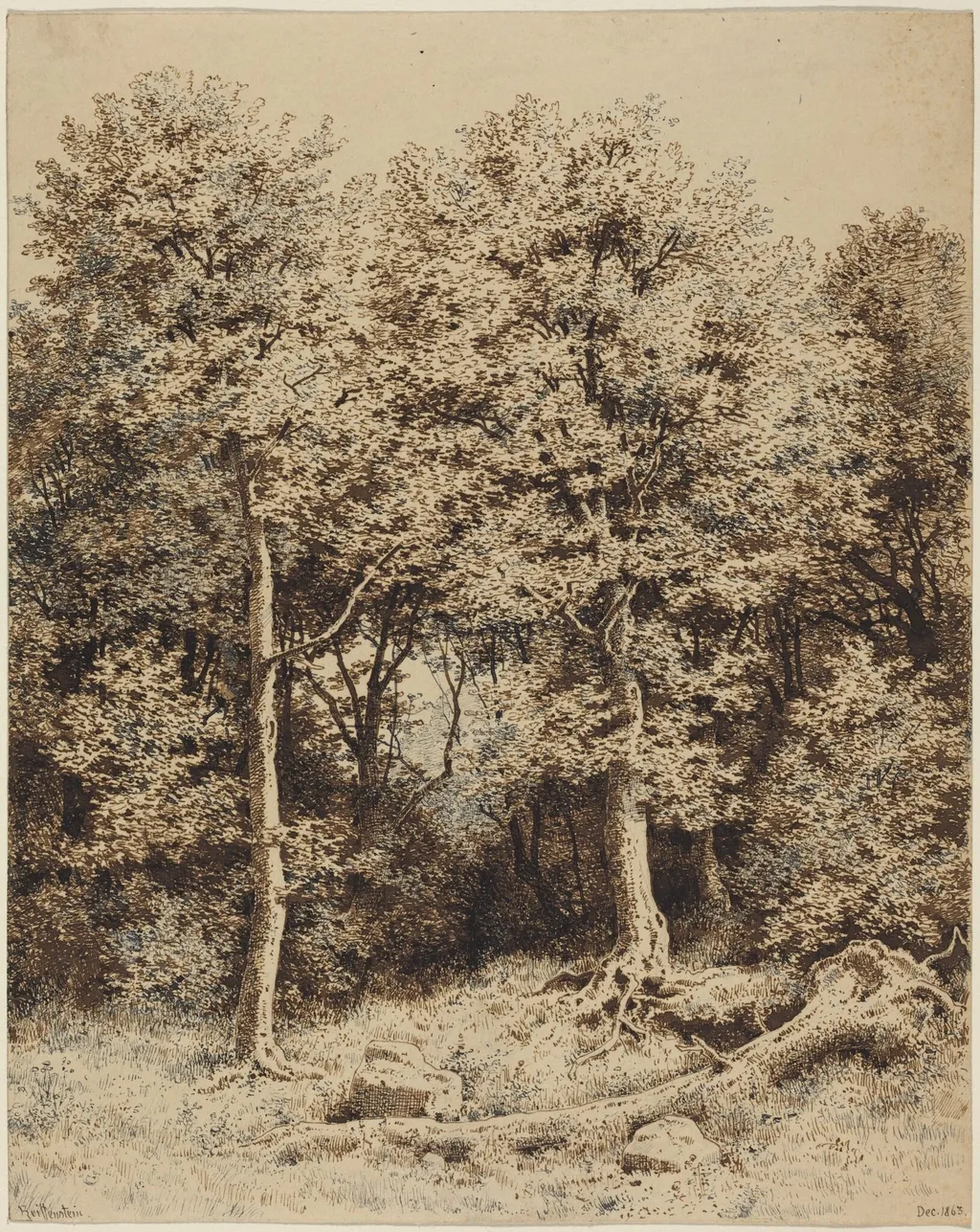 A Copse of Trees, by Karl Theodor Reiffenstein, ink, 1863