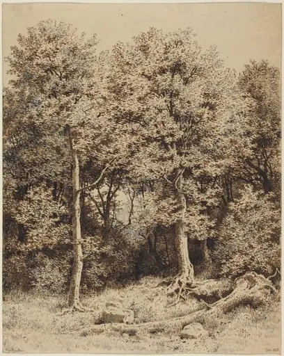 A Copse of Trees, by Karl Theodor Reiffenstein