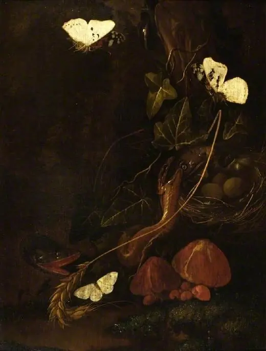 Ivy, with bird's nest, snakes and moths, by Karl Wilhelm de Hamilton