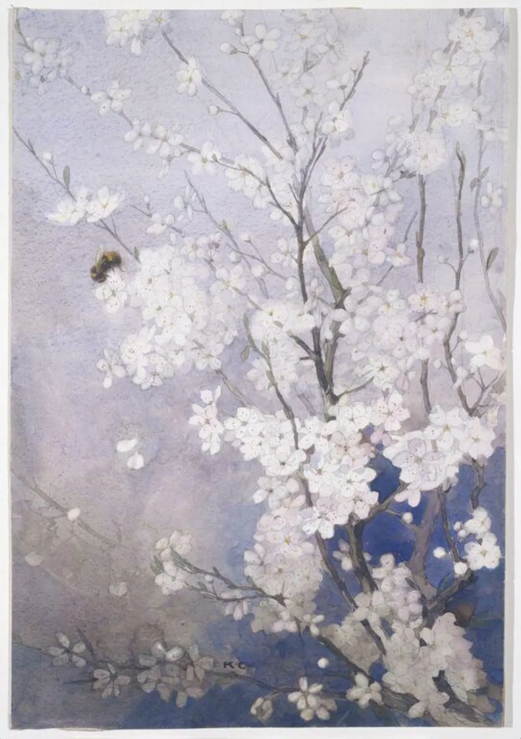 Plum Blossom, by Katharine Cameron, watercolor, 1950